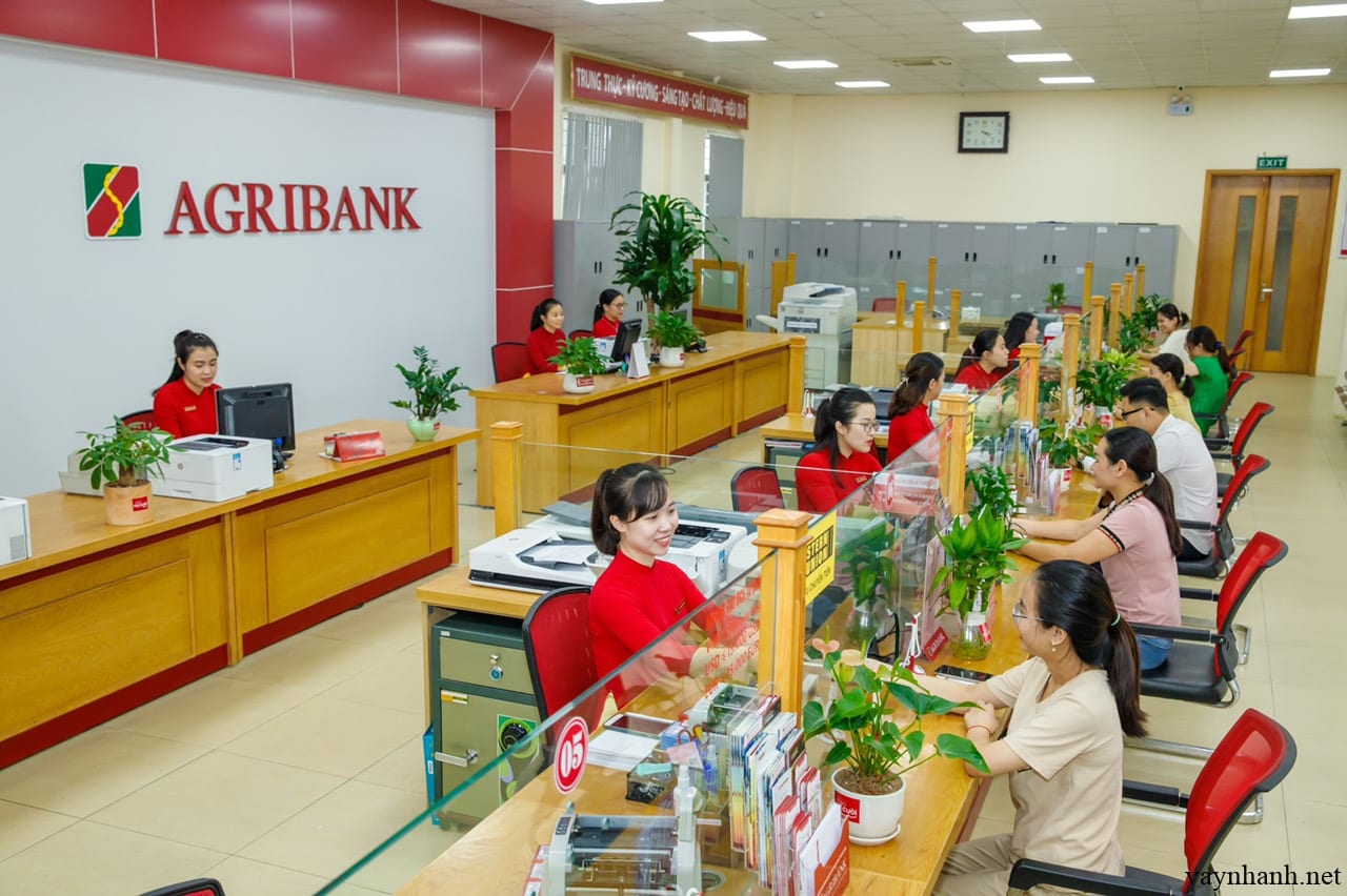 Chi nhánh, Phòng giao dịch Agribank TP Hồ Chí Minh