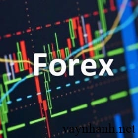 Top 6 Khóa Học Forex Tốt Nhất